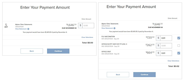 Step 4b Online Bill Process - Select Bill & Amount