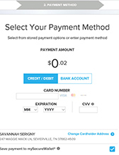 Step 6a Online Bill Process - Credit Card Payment Method