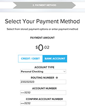 Step 6 Online Bill Process - Select Bank Payment Method